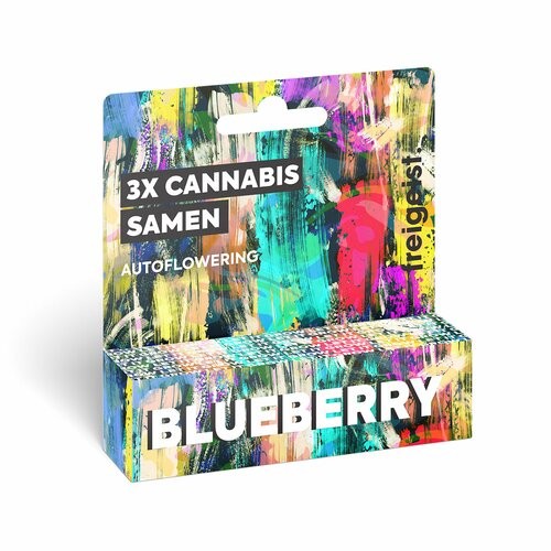 freigeist - Blueberry Autoflowering - Cannabis Samen (3 Stück)